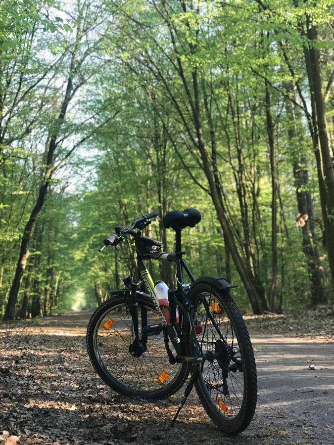 "Casa20200" 2 X Apartments Je 150Qm Fuer Business, Familien, Gruppen, Handwerker 15Min Von Berlin, Erdbeerhof, Outlet B5, 5Min Vom See Falkensee !! 2 Apartment Each 150Qm For Business , Families 15Min From Berlin!! Kültér fotó